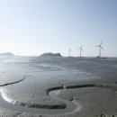 인천의 갯벌 이야기 이미지