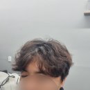 맨즈헤어 231