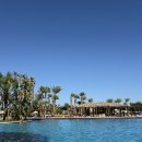 Red휘트니스 | 이집트 신혼여행 후루가다 슈타이겐베르거 알다우 비치 호텔 후기 올인클루시브 리조트 추천 호캉스