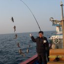 신랑각시
