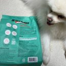 인섹트 파워 이미지