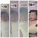 주원교육 | 로즈마리 병원 제왕절개 후기 2탄 (퇴원, 비용, 출산 준비물 꿀팁)