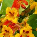 정부동산중개법인주식회사 이미지