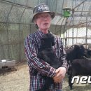 김한식농장 뉴스1