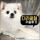 방학동물외과센터 이미지