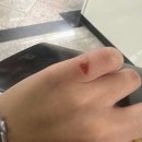 개와당신 | 위드아웃유<Without You, 당신없이는> 후기: 이 귀한걸 단둘이 봐도 될까요? (홍대 이머시브스튜디오)