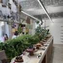 파이인더샵 용산점 이미지