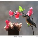 아름다운연출