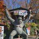 여주-0733 이미지