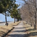 경기둘레길 화성47코스 | 20260313(금)경기둘레길 화성47코스