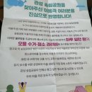 관성솔밭해변 이미지