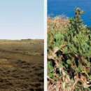 마라도천연보호구역 이미지