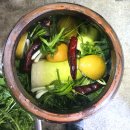 역사가 쉬워지는 우리 문화유산 이야기 | 유네스코 인류무형유산 &#34;김치와 김장문화&#34;