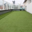 상주애견 이미지