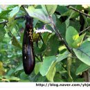 성진농원민박 이미지