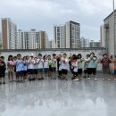 푸르미르태권도장 이미지