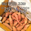 한입 | 정원의 상점 해남 맛있는 고구마 한입 사이즈 후기