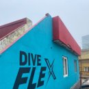 다이브플렉스 이미지