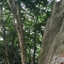 향일암로 이미지