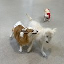 멍테소리 이미지