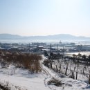 조경 선생 묘 Daum카페