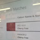 체리트리(CHERRY TREE) 이미지