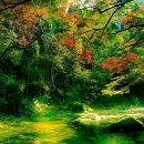 성안장수마을요양원 | 강동구 요양원 성암장수마을 요양원 리뷰보기