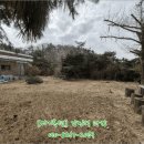 경기도 안성시 고삼면사무소 이미지