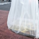 제주해변공연장 | 제주팔레스호텔 스탠다드 트윈