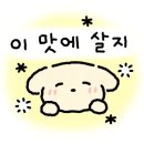 누리마을감자탕 정관점 이미지