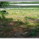 정선동강테라스민박 | 정선 동강 테라스 민박 (2014년 목조주택 지었어요~)