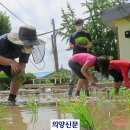 남면초등학교 양덕분교장 이미지