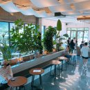 다시초록섬 이미지