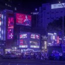 시선 - 제주시 한림로 176 | 시선