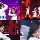 루리퍼포먼스