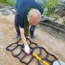 디딤돌농장 이미지