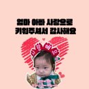 흑룡태권도 이미지