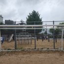 서강초교 이미지