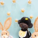 러브썸그루밍샵 이미지