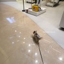 몰리스펫샵(스타필드 하남) 이미지