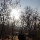 민들레 한약국 이미지