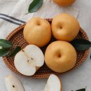 자연으로 이미지