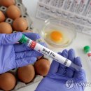 공덕농장 이미지