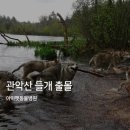 아이펫동물병원 이미지