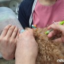 유현동물병원