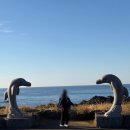 더블제이짐 | 서귀포 대정읍 오션뷰 야외 자쿠지 숙소 제이앤클로이 숙박 솔직후기