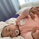 투투명품헤어 | D+16개월 4주 : 16개월 아기 예방접종/낮잠 안 자려고 버티는 아기/키즈엠 아장아장 카멜레온 베스트...