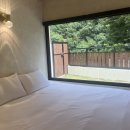 댕댕별숲 애견독채펜션 이미지