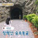 숲속에는 | 옥천 장령산자연휴양림 숲속동굴 후기 (위치, 주차)