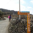 녹산등대가는길 | 당사도 등대 가는 길 원터치 텐트 필수